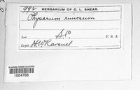 Image Associated With the Occurence